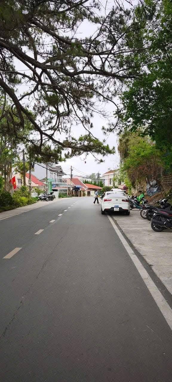 Cần Bán Gấp Đất Mặt Tiền Kinh Doanh – Đường Phạm Ngọc Thạch, P6, Đà Lạt – 17 Tỷ - Ảnh 1